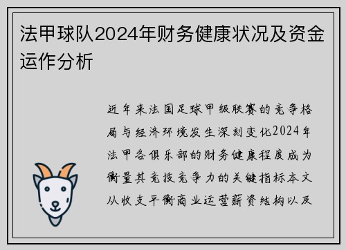 法甲球队2024年财务健康状况及资金运作分析